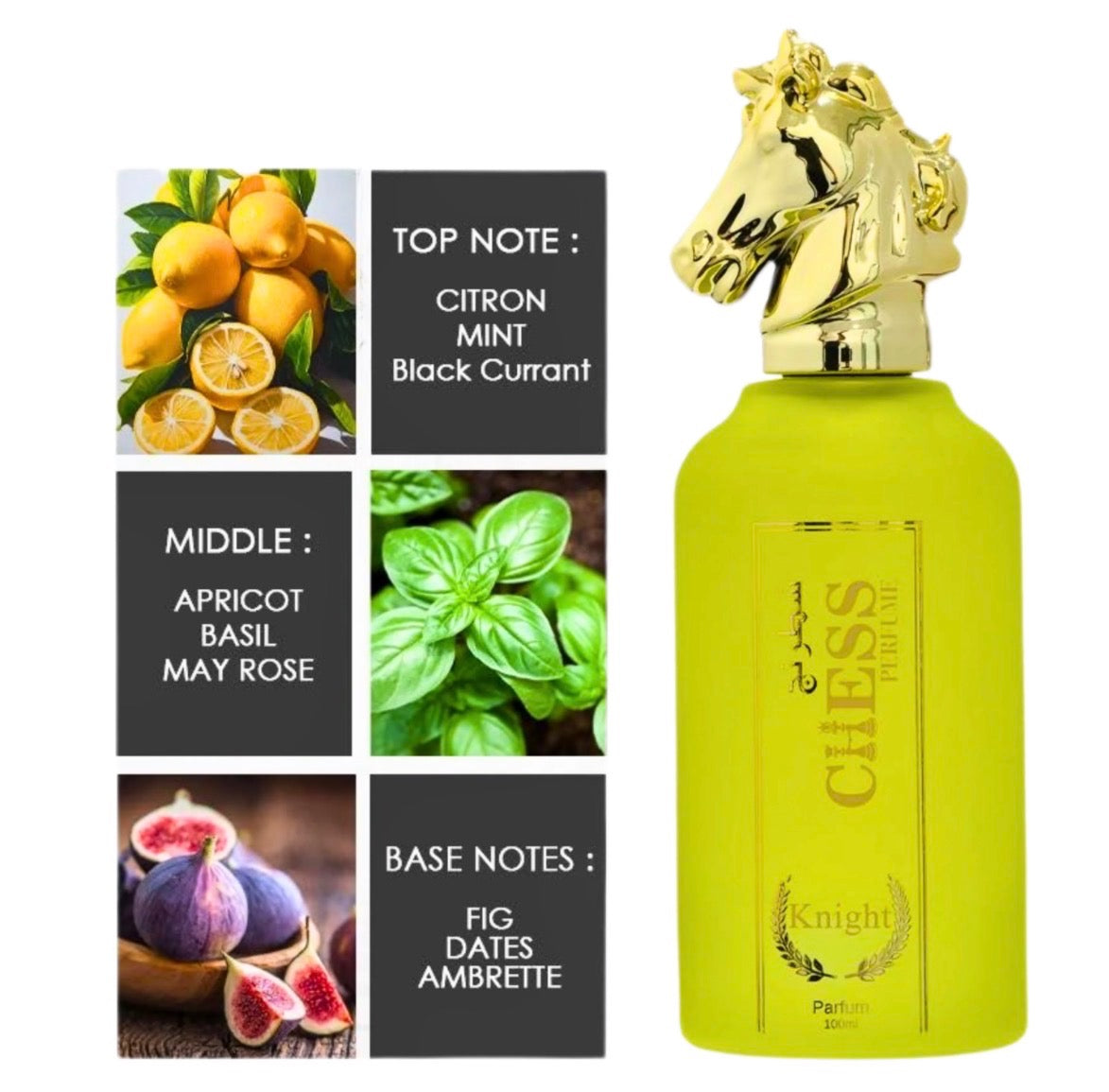 CHESS KNIGHT(UNI-SEX)